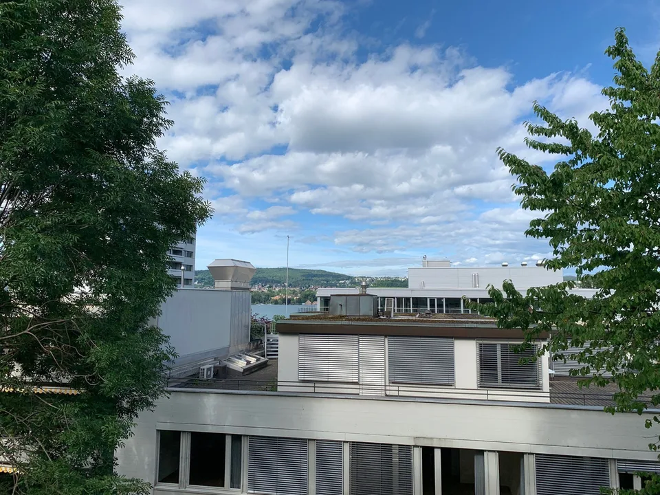 Bright 4.5-room apartment in popular Zürich-Wollishofen