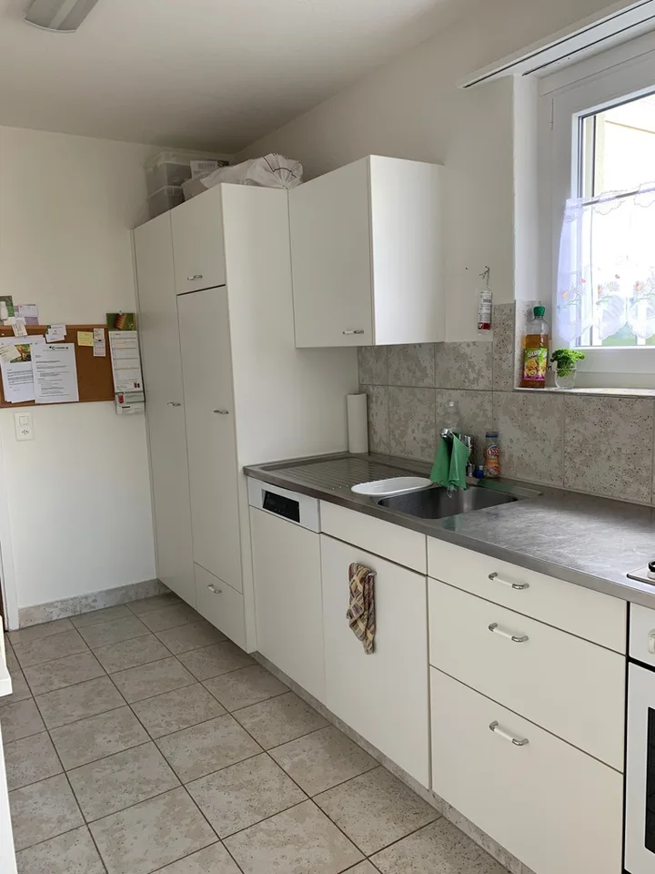 Bright 4.5-room apartment in popular Zürich-Wollishofen