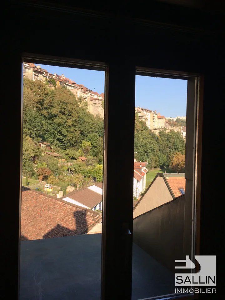 DUPLEX 3½ LOCALI IN BASSA CITTÀ – foto 9 di 9