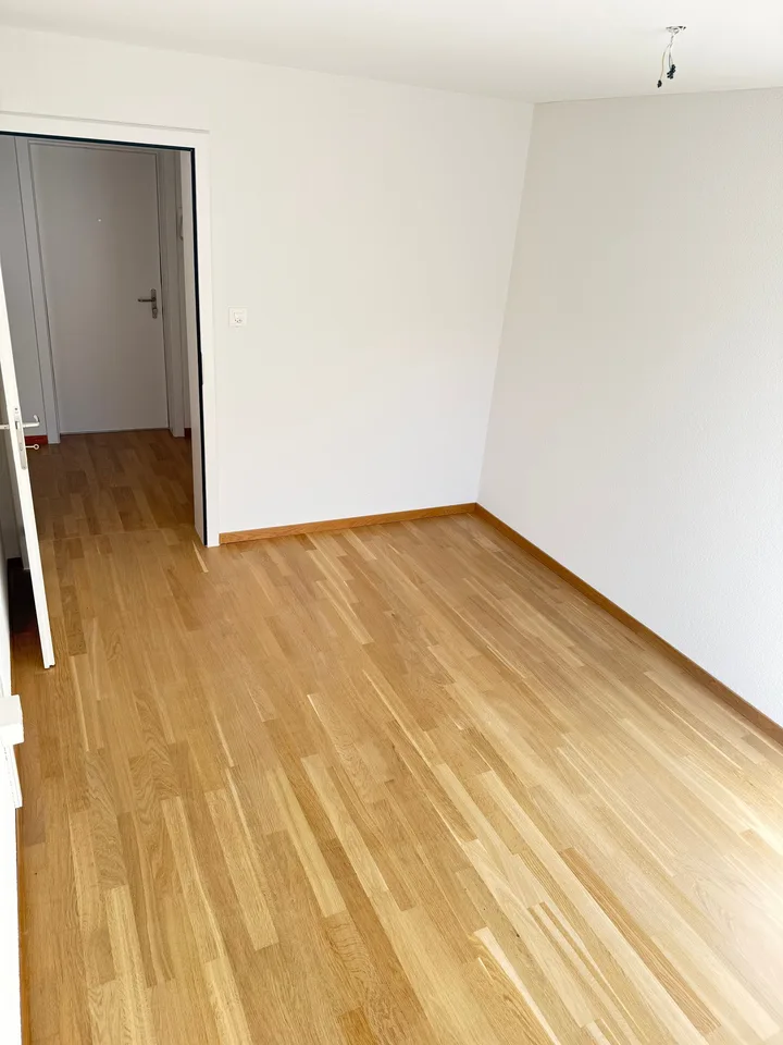 *AMPIA TERRAZZA* Appartamento 3.5 locali a Escholzmatt