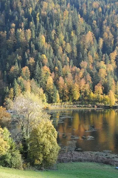 Großes Apartment mit Blick auf den Doubs