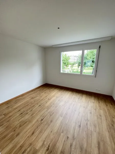 Ampio e luminoso appartamento di 3 camere in affitto