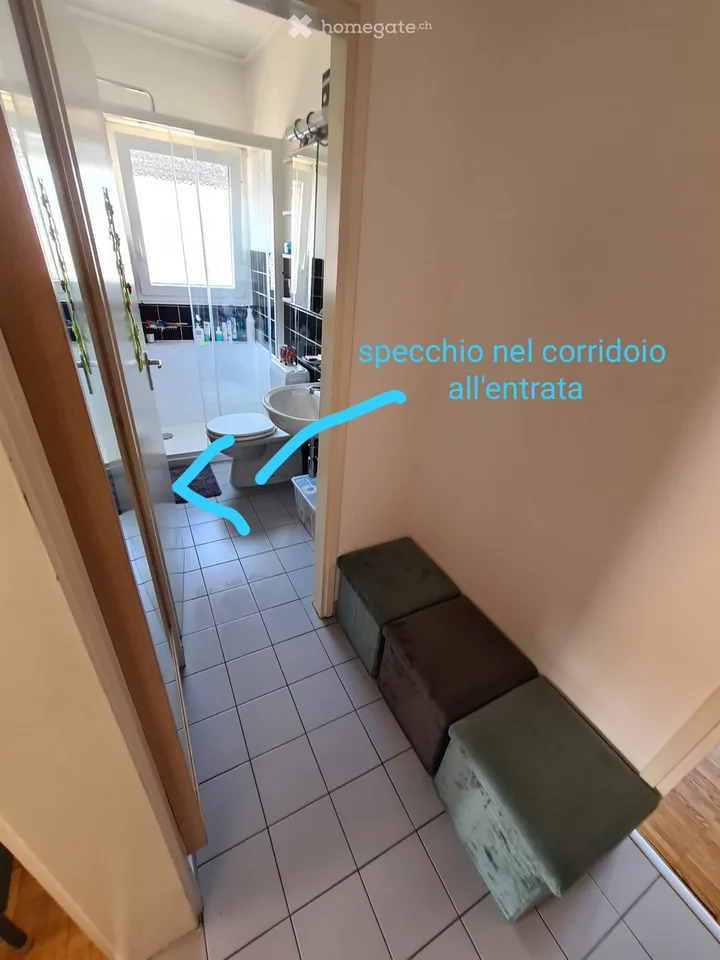 Cercasi subentrante dal 1 agosto per 2.5 in zona Viganello