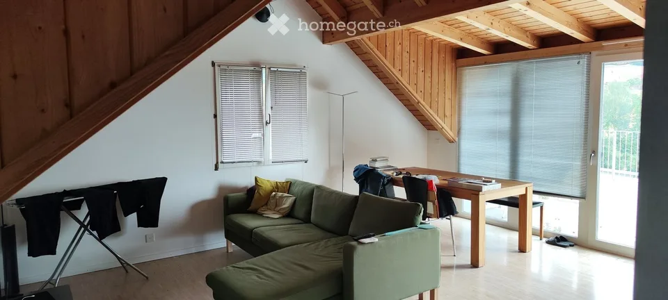 3 Chambres Appartement en Mansarde, Terrasse sur le Toit 45m2 Lobsigen