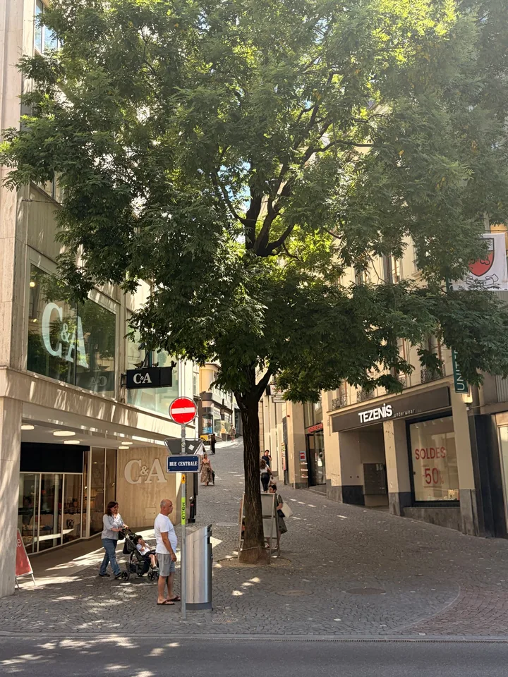 Restaurant/Café Rue Saint-François 2, Lausanne – Foto 10 von 11
