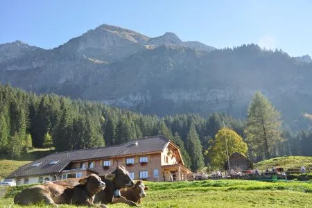 Alpiner Charme trifft Gastfreundschaft – Alpwirtschaft Unterlauelen sucht neue Gastgeber:innen!