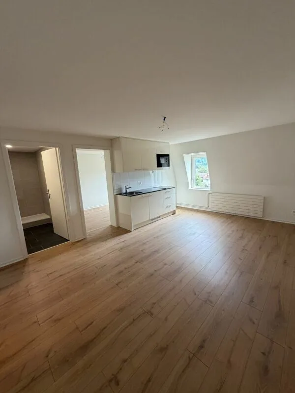 Primo affitto - delizioso appartamento appena ristrutturato di 2 camere in affitto ora!