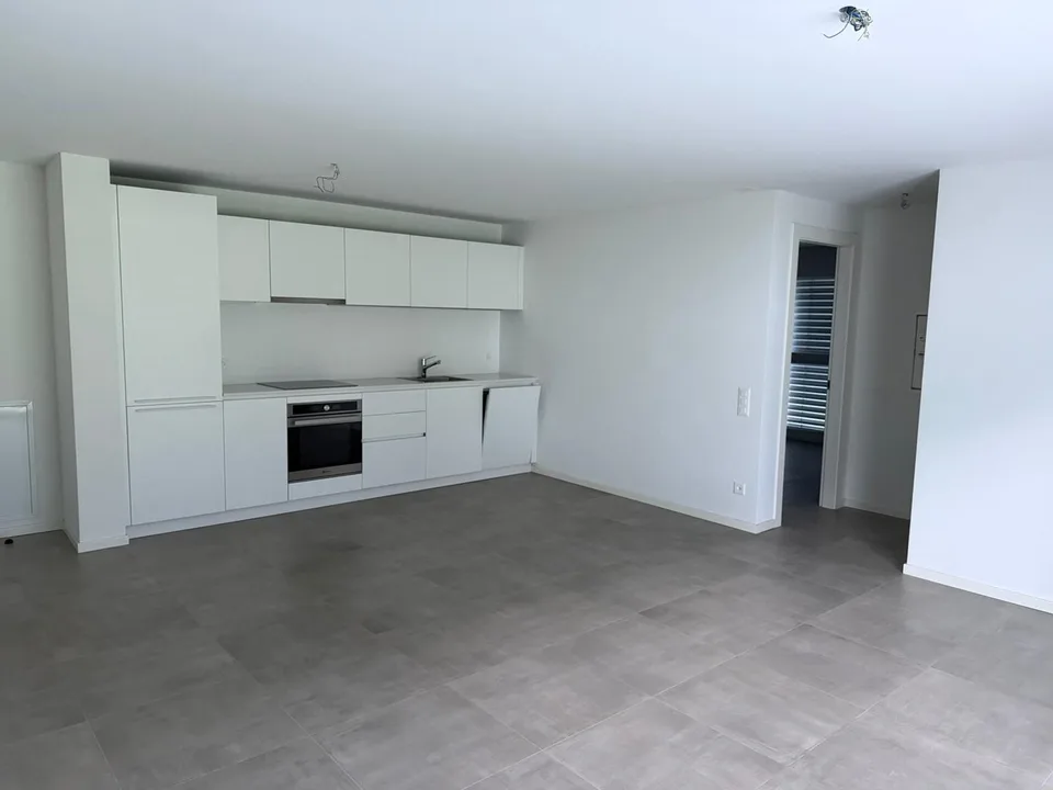 APP n 1 Brand New 2-Room Apartment in Iragna – Modern, Accessible & Pet-Friendly
