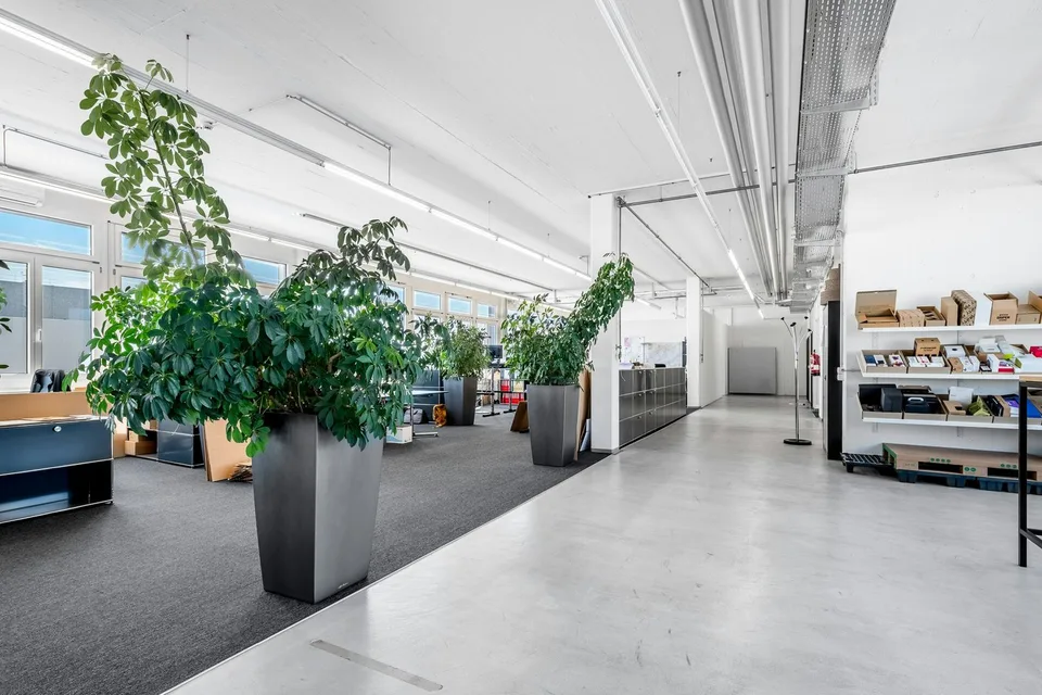 Büro- oder Gewerbefläche ab 350 m² im Althardgebiet