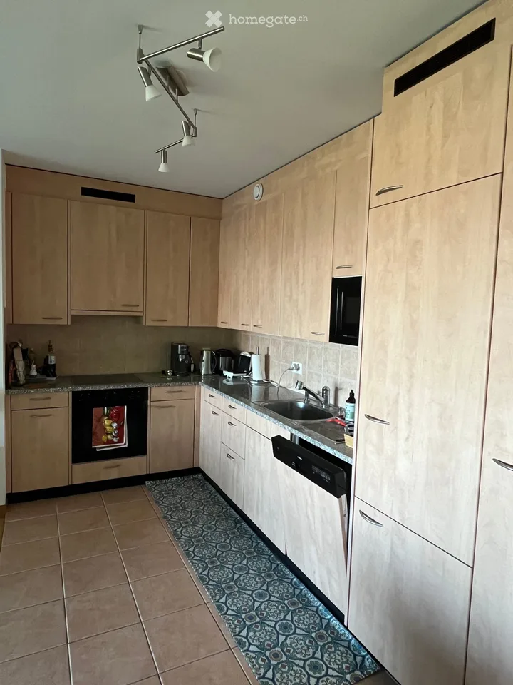 Wohnung 3 Zimmer 1 Bett zur Untervermietung in Vesenaz