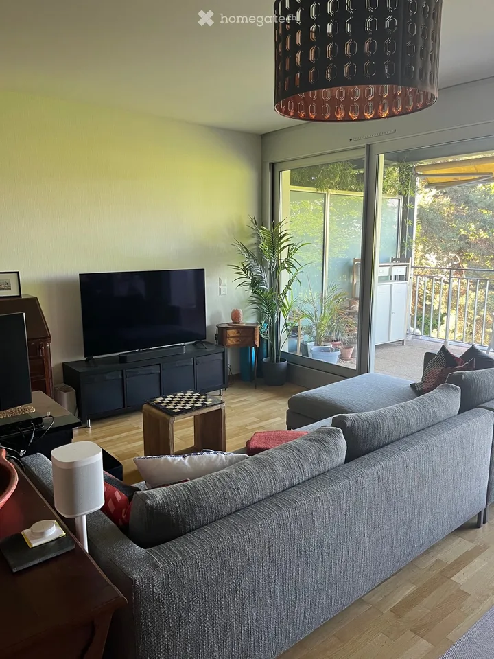 Wohnung 3 Zimmer 1 Bett zur Untervermietung in Vesenaz