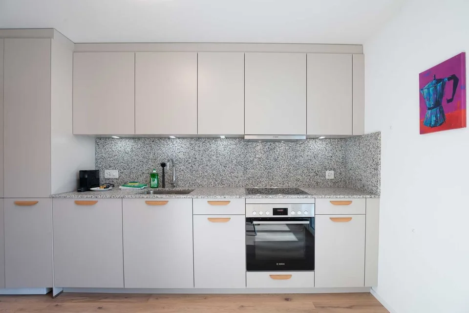 Grosse, moderne und frisch renovierte 3 Zimmer Wohnungen mit Balkon – foto 8 di 26