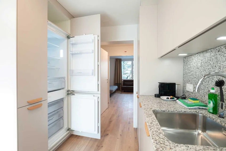 Grosse, moderne und frisch renovierte 3 Zimmer Wohnungen mit Balkon – foto 13 di 26