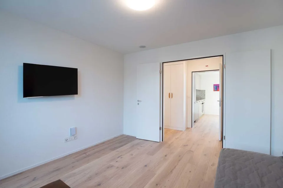 Grosse, moderne und frisch renovierte 3 Zimmer Wohnungen mit Balkon – foto 6 di 26