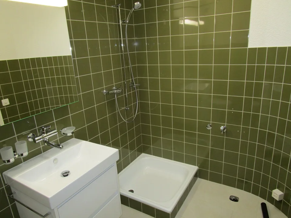 Spacious 7-room attic apartment with fireplace in Olten – photo 11 of 15