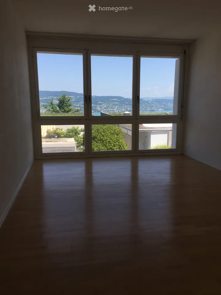 Seesicht - 6 1/2 Terrassen-Eckhaus in Horgen (ZH)
