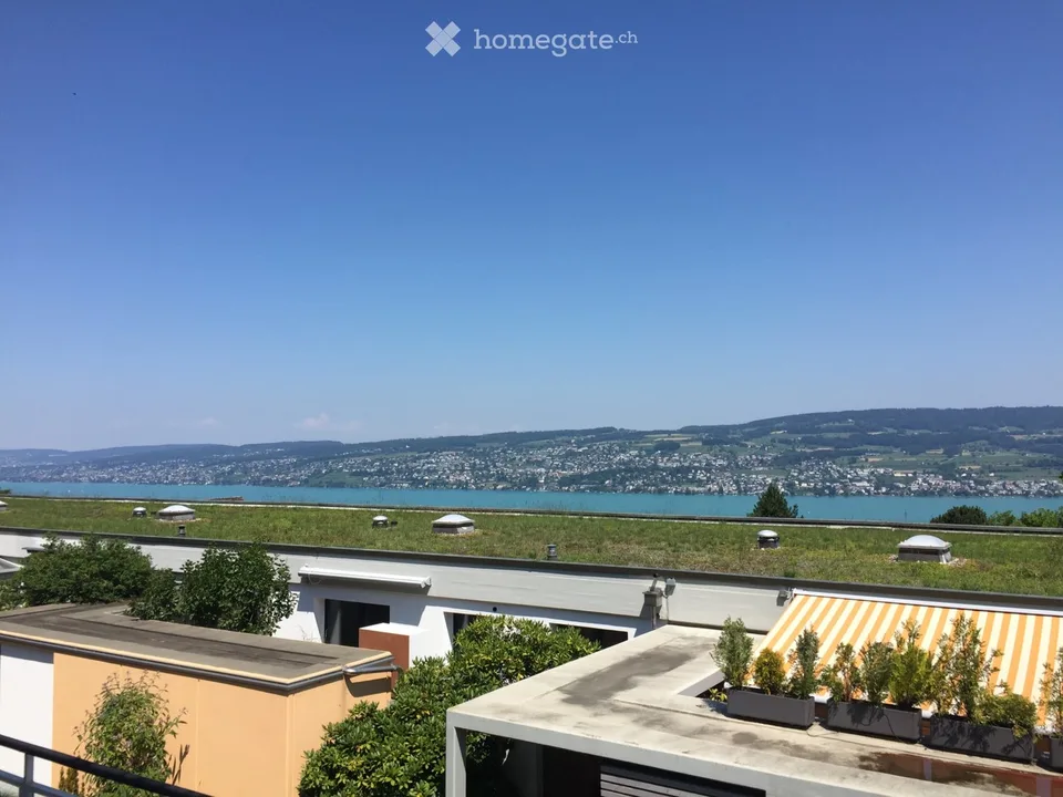 Seesicht - 6 1/2 Terrassen-Eckhaus in Horgen (ZH)