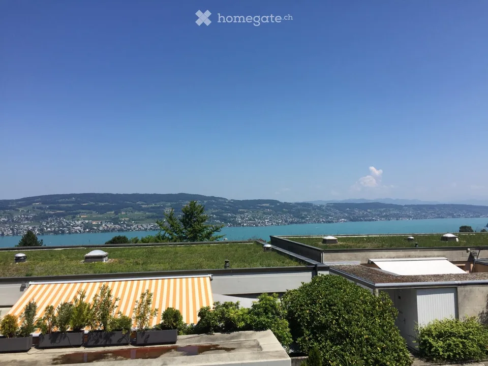 Seesicht - 6 1/2 Terrassen-Eckhaus in Horgen (ZH)