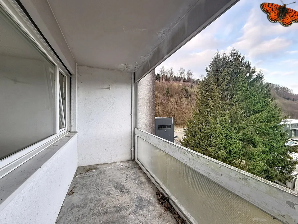 3½ PIECES - With a balcony