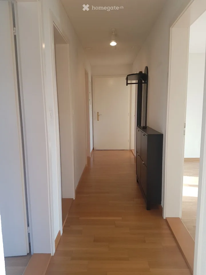 Schöne, helle Wohnung mit grossem Balkon