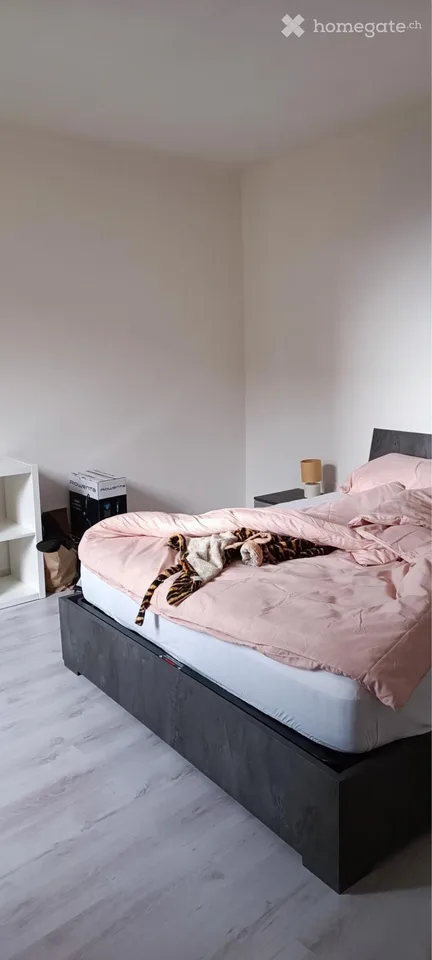 Wohnung 2.5 Zimmer möbliert