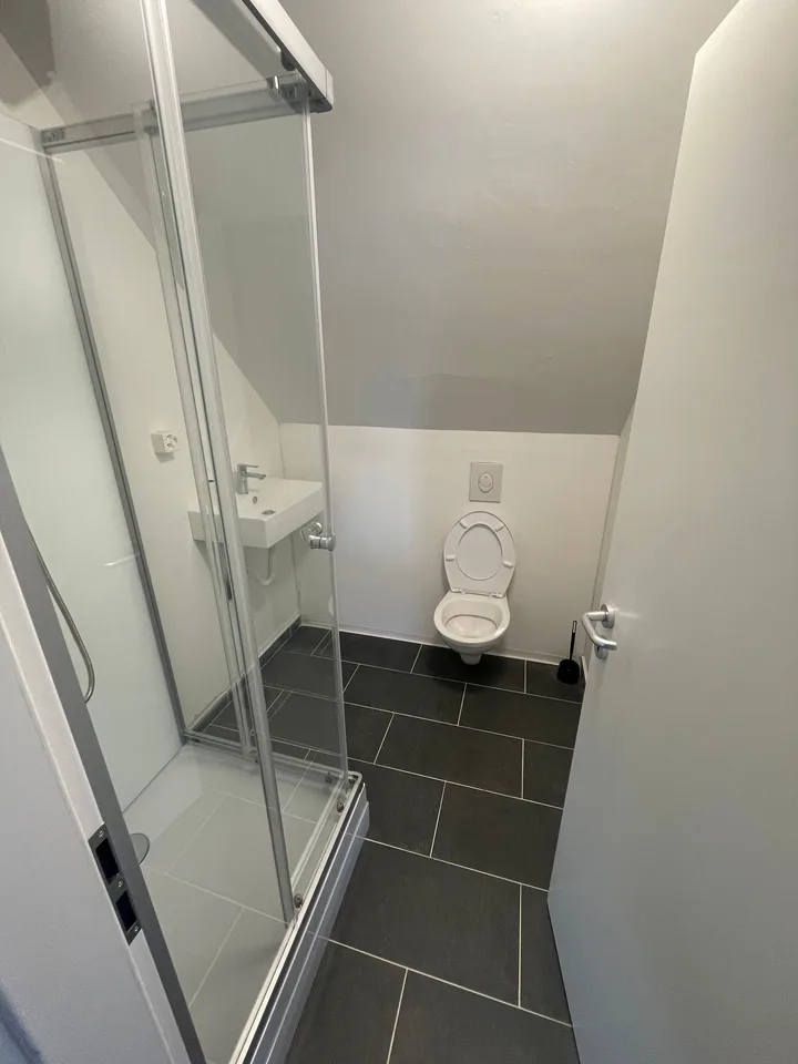 Camera singola a Stein AG con uso di cucina e bagno
