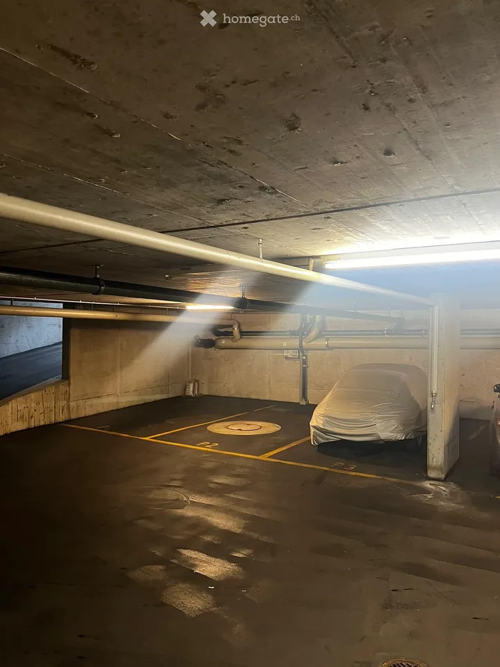 Freie Garagenplätze in begehrter Lage  in Zürich