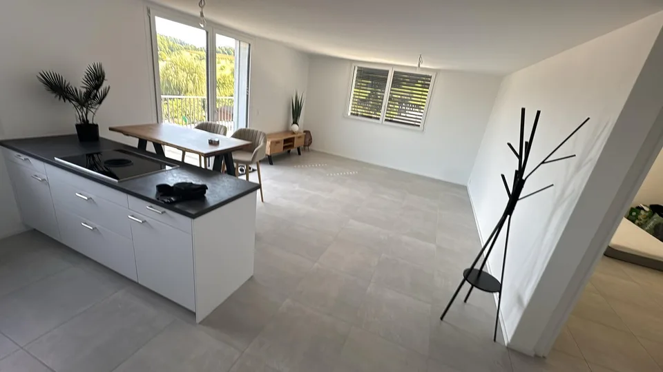 2.5-Attika-Wohnung mit fantastischem Ausblick