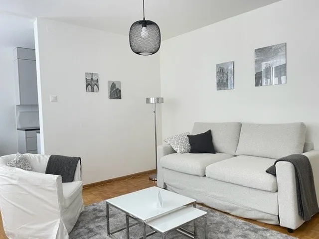 Carino appartamento di due stanze nel popolare Gundeli – foto 11 di 17
