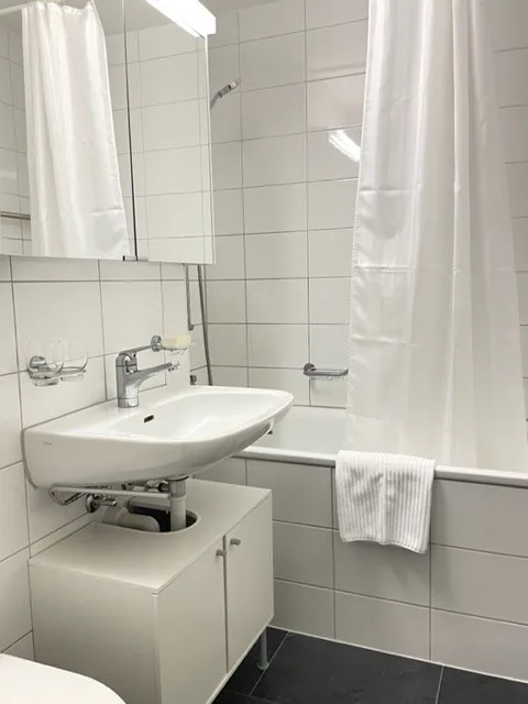 Carino appartamento di due stanze nel popolare Gundeli – foto 16 di 17