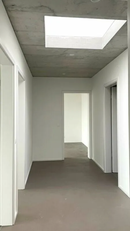Nidau, splendide duplex haut standing 5.5 pces - 205 m2 avec parking et jardin commun