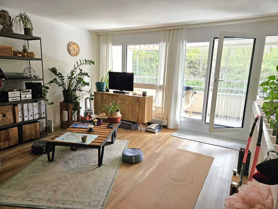 Habiter dans un endroit attractif à Schaffhausen