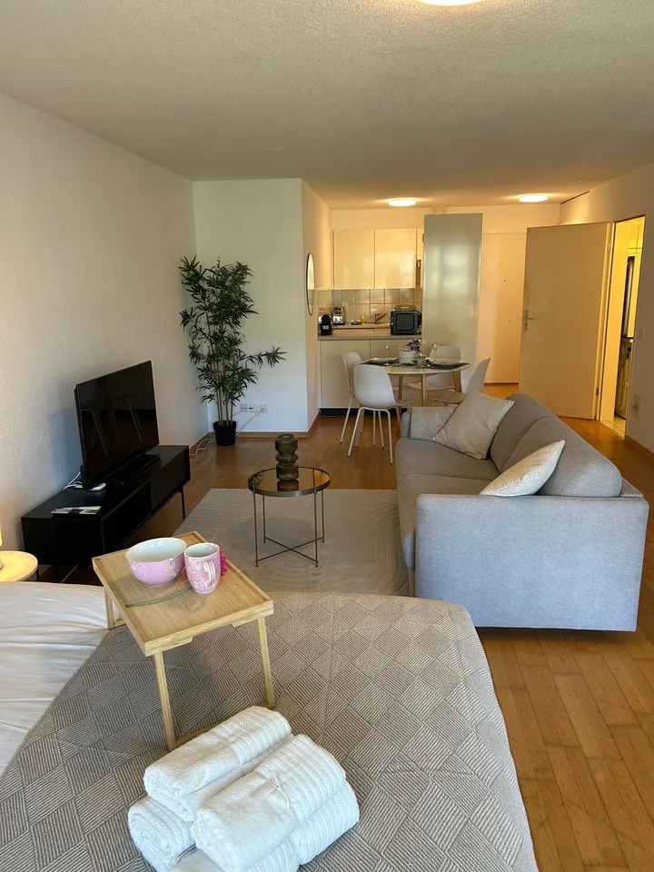 Neugasse 83 – Stilvoll eingerichtetes Studio im Herzen von Zürich!
