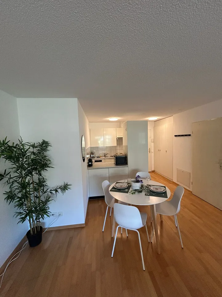 Neugasse 83 – Stilvoll eingerichtetes Studio im Herzen von Zürich!