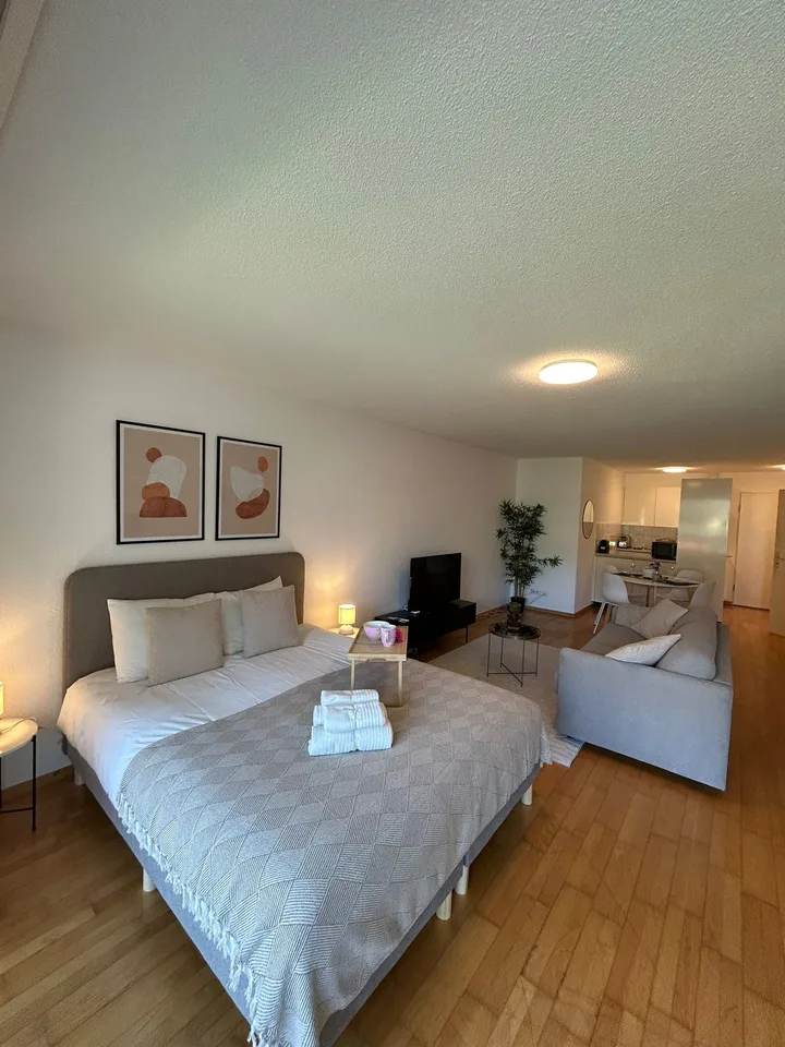 Neugasse 83 – Stylish Newly Furnished Studio in the Heart of Zurich!