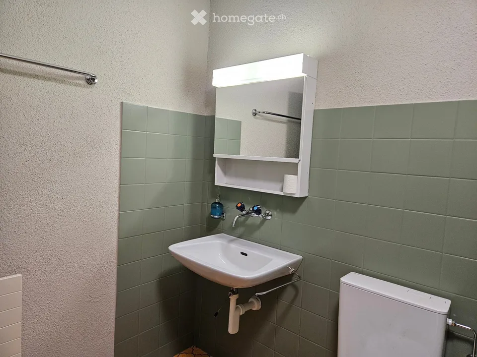 Furnished room in Göschenen