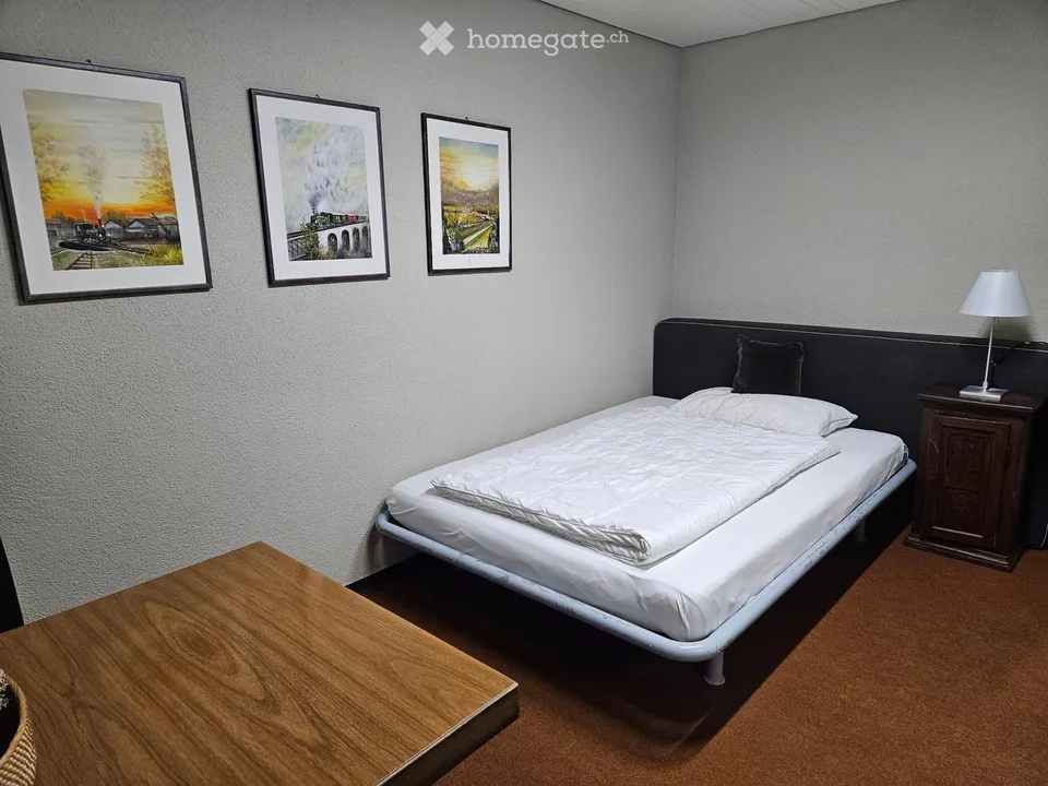 Furnished room in Göschenen