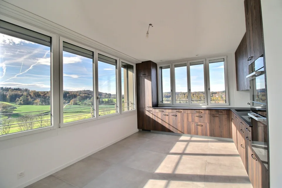 Magnifique 5.5 pièces avec vue imprenable !