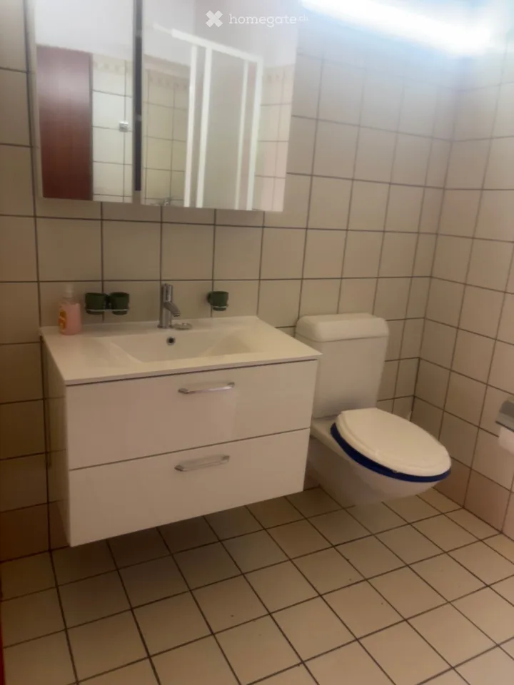 Furnished Apartment for Rent
