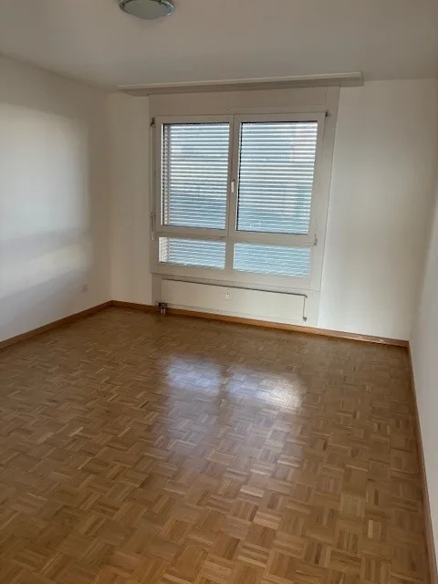 Appartamento di 5,5 locali, 122 m2, sul lungofiume Reno / limitato fino al 30.11.2026
