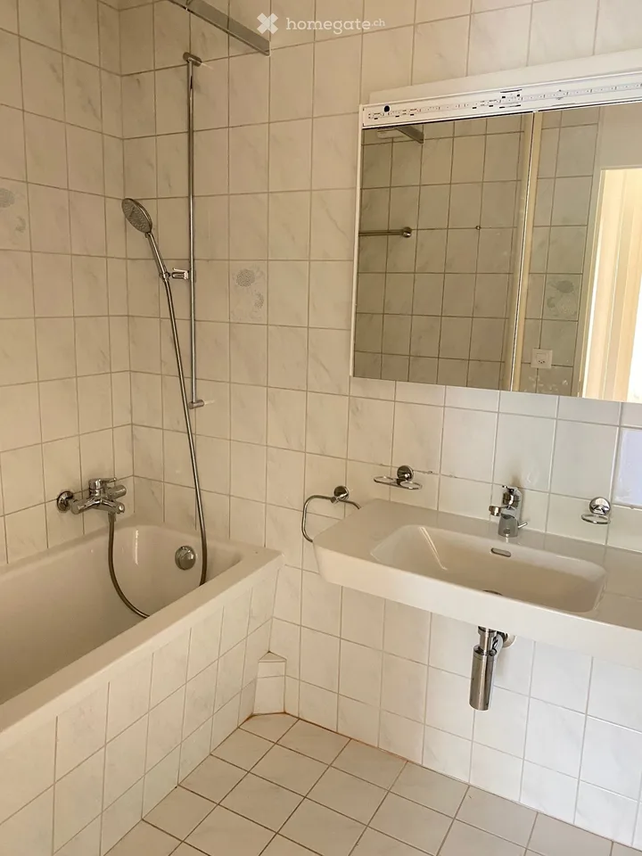 Beautiful 4.5 room apartment from Oct 1, 2026