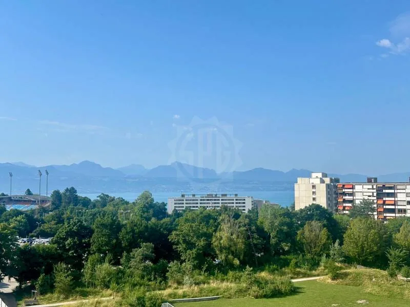 Super appartement - Lausanne