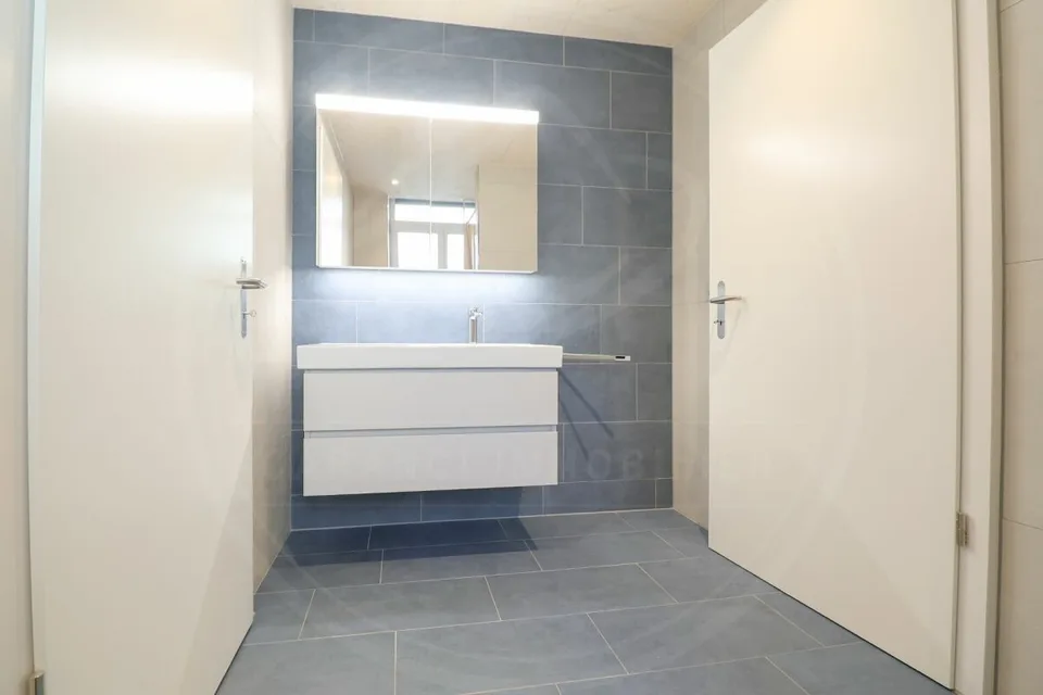 Siège de votre entreprise à Mellingen AG - Espace commercial neuf à louer sur la Reuss – photo 11 sur 22