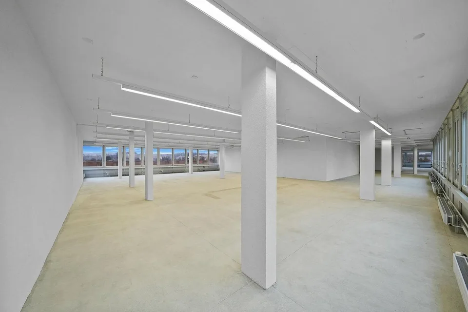 "Praktische Gewerbefläche mit 1'000 kg/m² Bodenlast - Aussicht inkl.!"