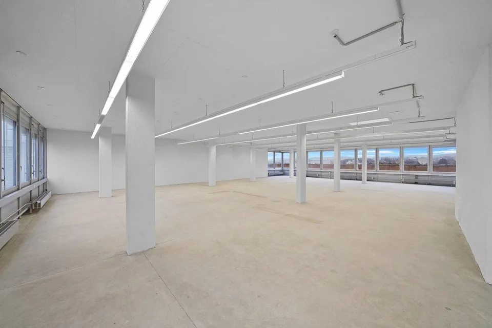 "Praktische Gewerbefläche mit 1'000 kg/m² Bodenlast - Aussicht inkl.!"