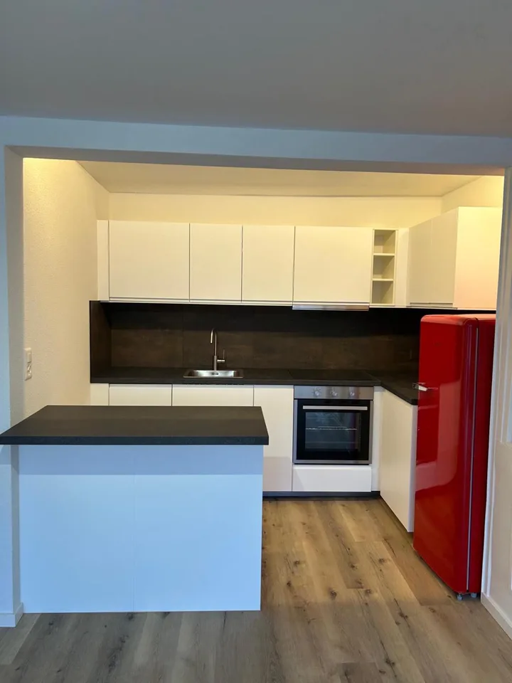 LARGE 3-ROOM BRIGHT APARTMENT