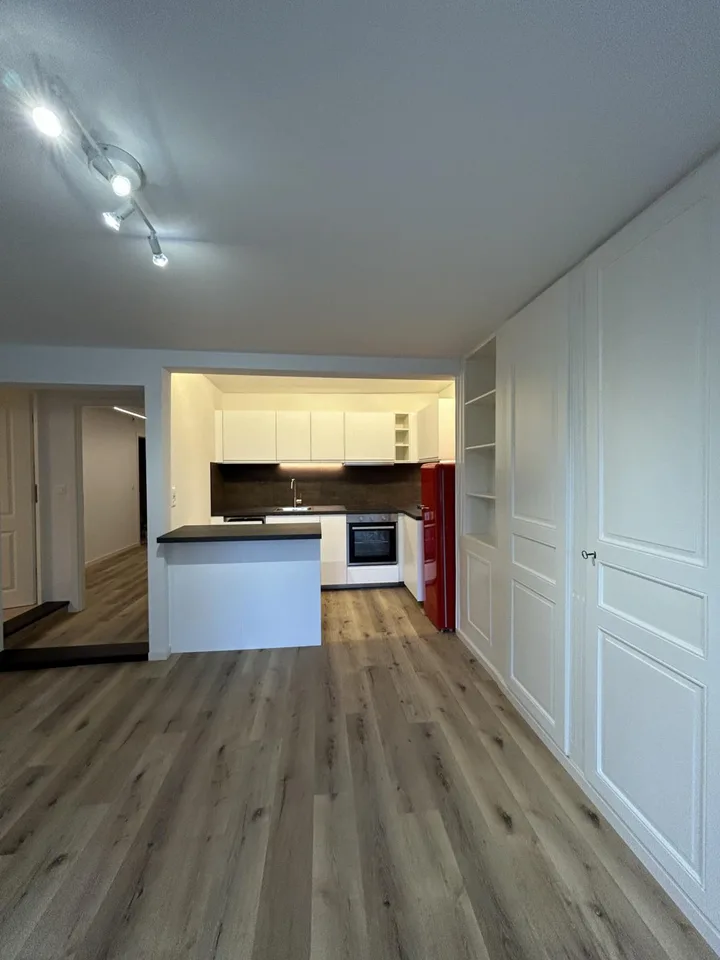 LARGE 3-ROOM BRIGHT APARTMENT