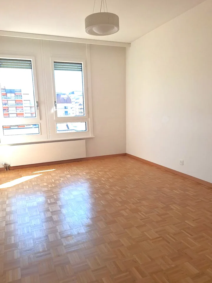 Appartamento di quattro locali con balcone a Plainpalais – foto 8 di 11