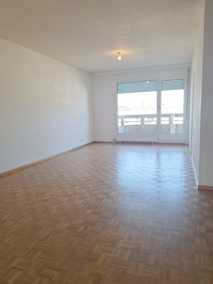 Appartement de 4 pièces avec balcon à Plainpalais