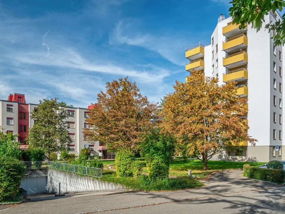 Parcheggi gratuiti in affitto a Liestal